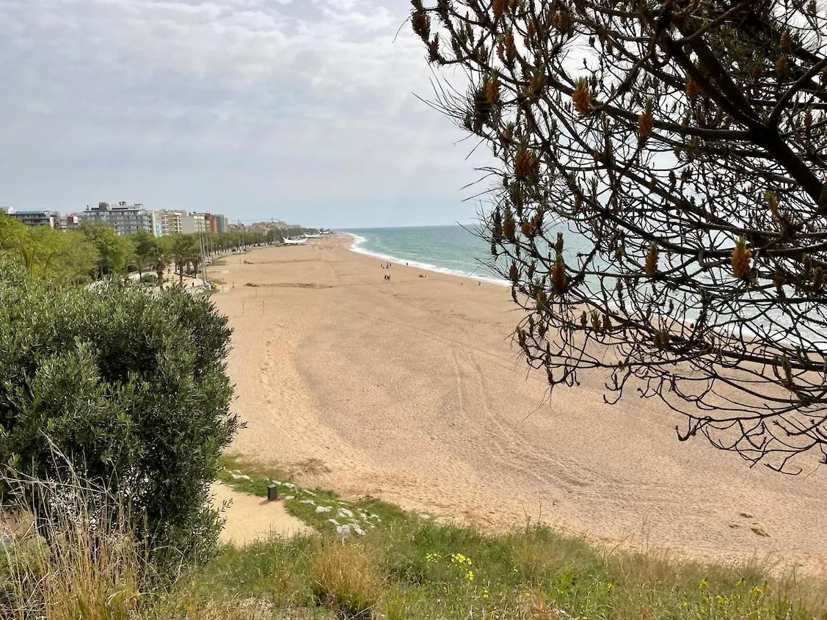 Flat With Birdsongs & Character! Apartment Calella Spain