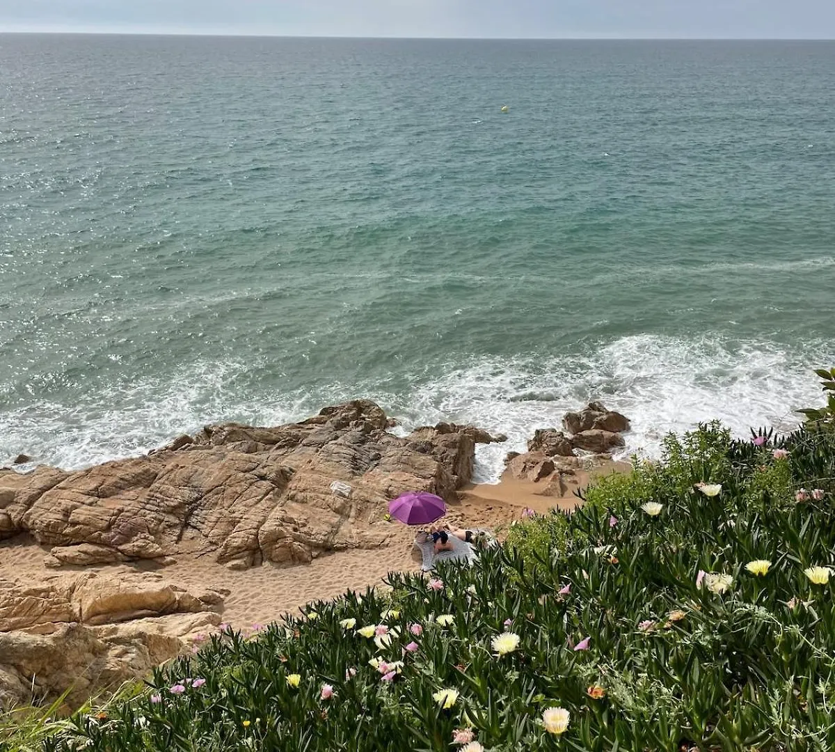 Flat With Birdsongs & Character! Apartment Calella Spain