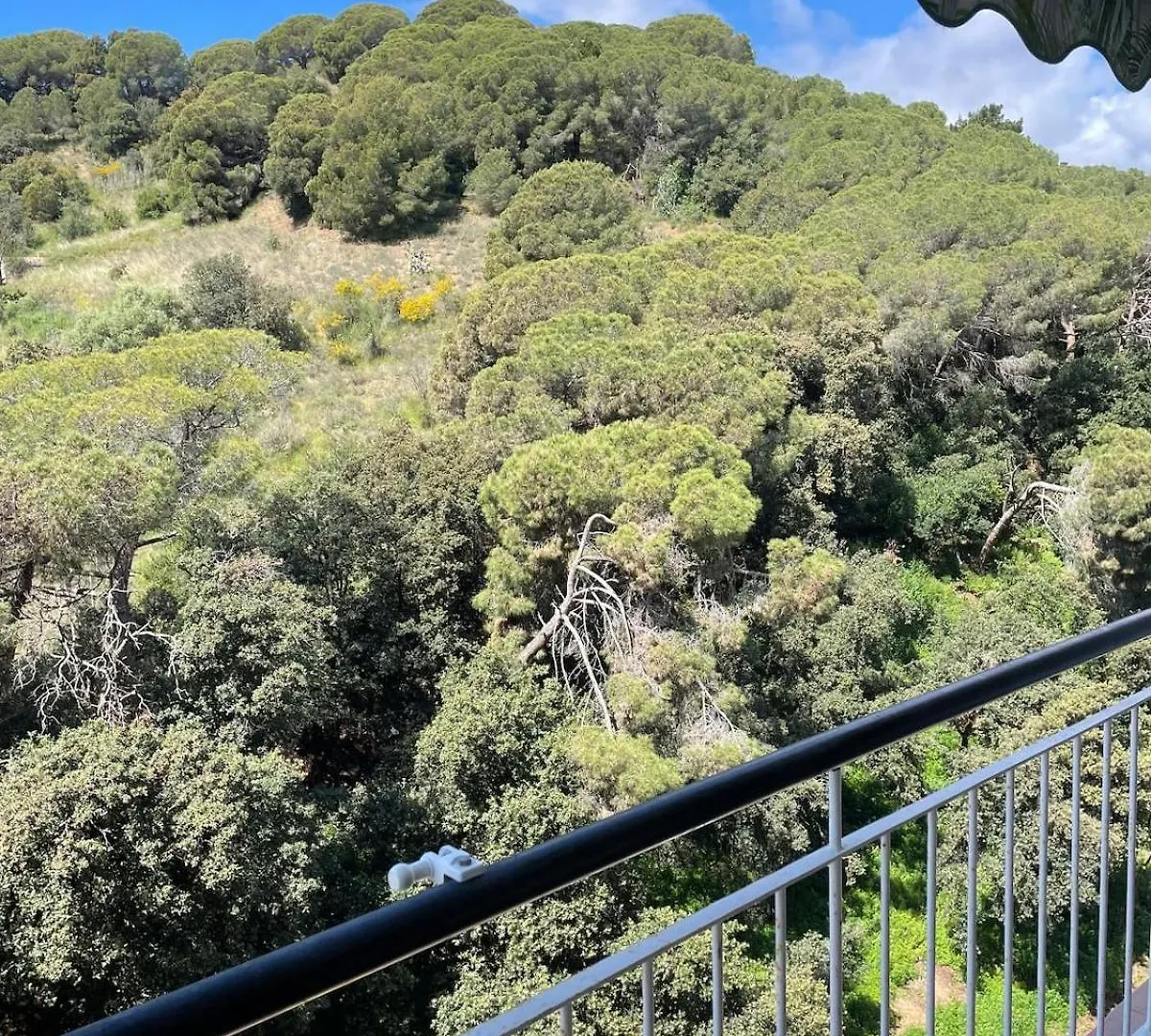 Flat With Birdsongs & Character! Apartment Calella